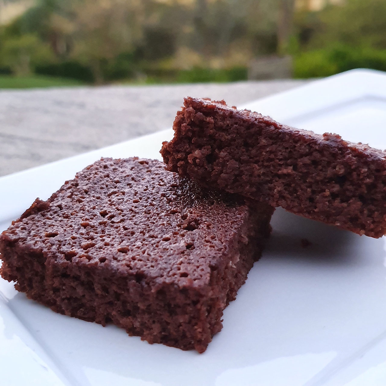 Brownie Low Carb e Cetogênico - Saschi - Receitas e +